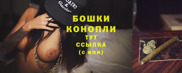 дурь Белоозёрский