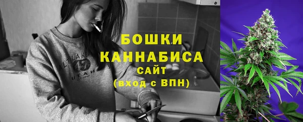 ECSTASY Пестово