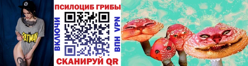 Галлюциногенные грибы прущие грибы  Купить где  Валдай 